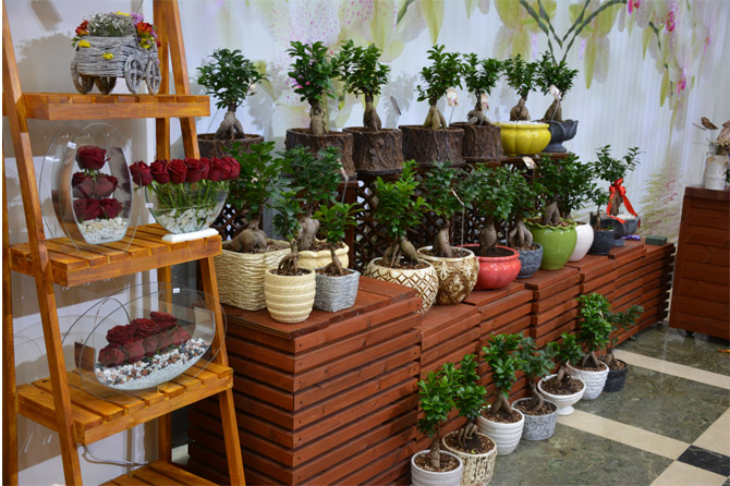 cladding thermo treated wood outdoor exterior